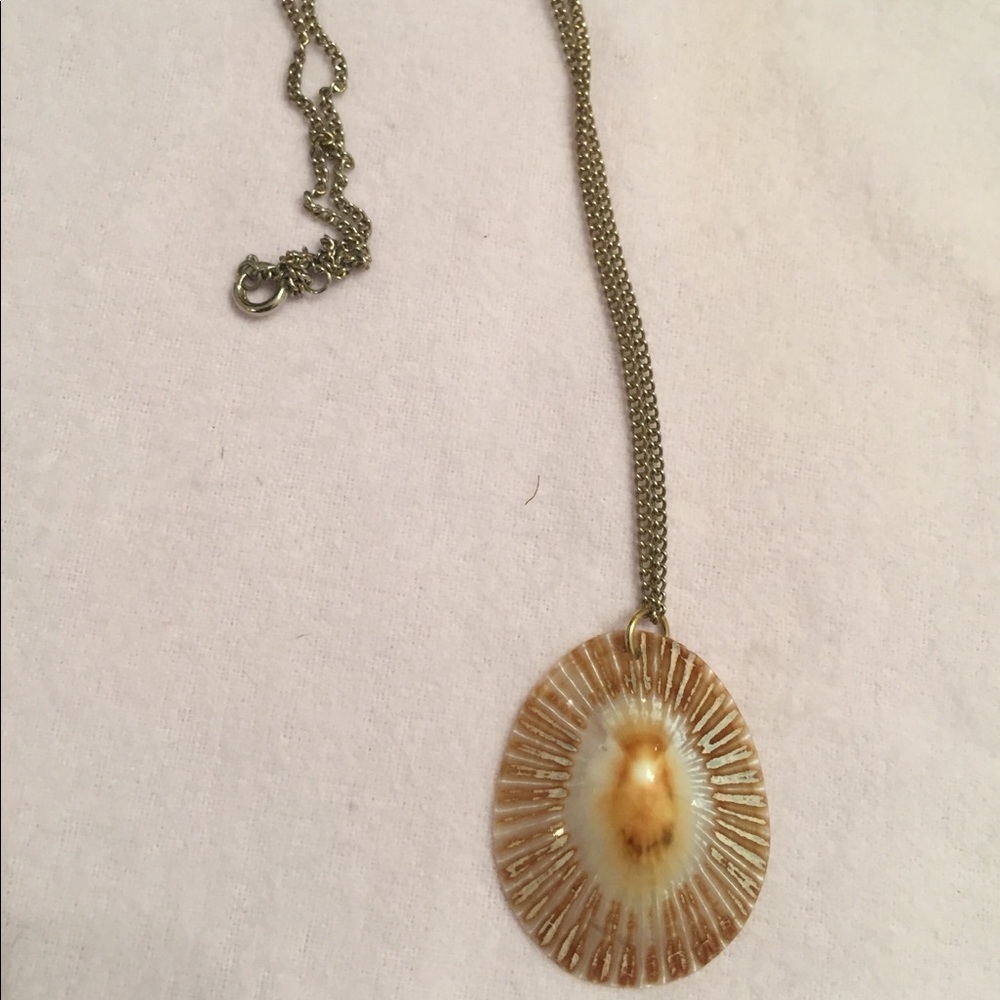 Shell Necklace - Picture 3 of 5